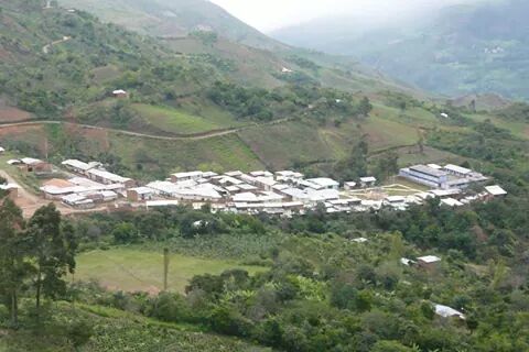 Imagen 15 Colegio Carlos Lisson Beingolea foto