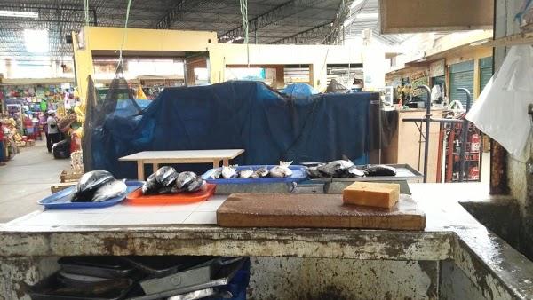 Imagen 17 Colegio Carlos Lisson Beingolea foto