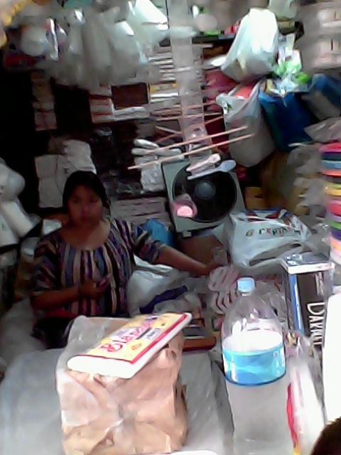 Imagen 25 Colegio Carlos Lisson Beingolea foto