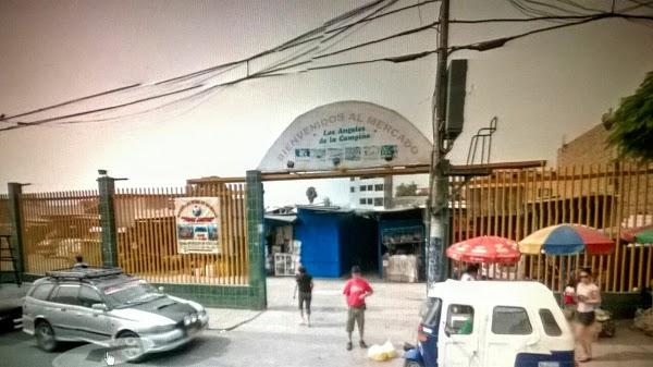 Imagen 27 Colegio Carlos Lisson Beingolea foto