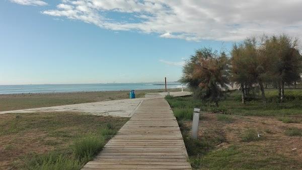 Imagen 46 Colegio Carlos Lisson Beingolea foto