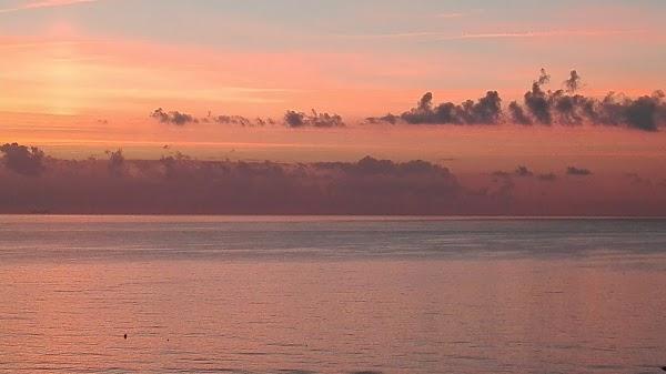 Imagen 50 Colegio Carlos Lisson Beingolea foto