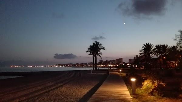 Imagen 55 Colegio Carlos Lisson Beingolea foto