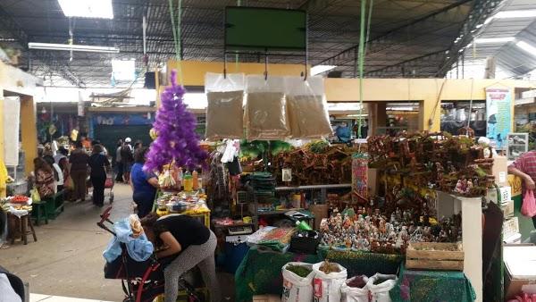 Imagen 7 Colegio Carlos Lisson Beingolea foto