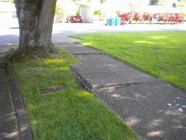 Imagen 5 Tapas Bar Puerto Deportivo Estepona, Halomon foto