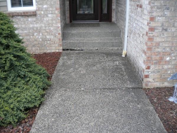 Imagen 10 Tapas Bar Puerto Deportivo Estepona, Halomon foto