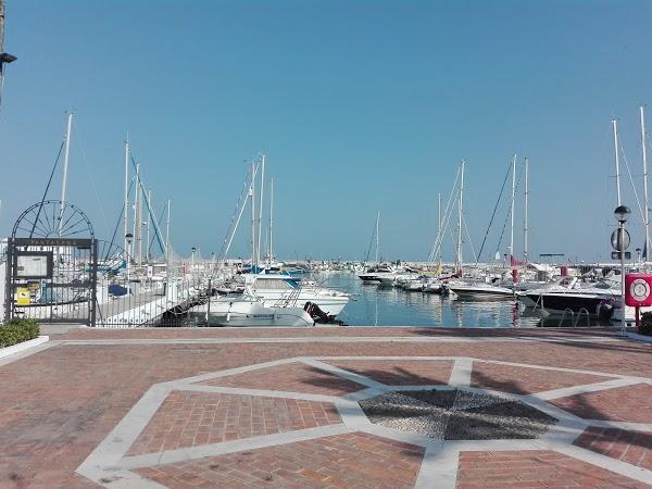 Imagen 93 Tapas Bar Puerto Deportivo Estepona, Halomon foto