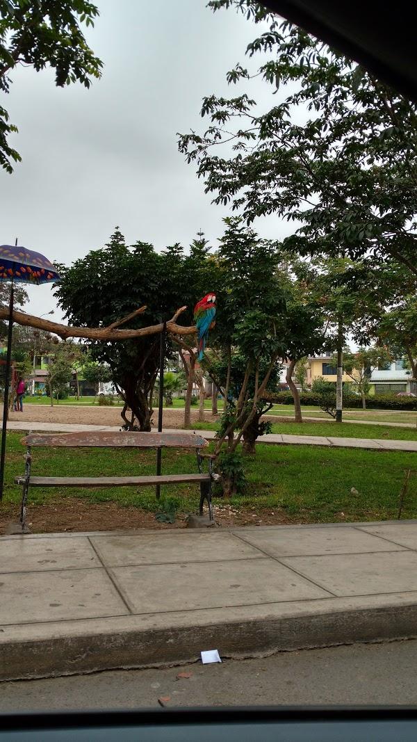 Imagen 43 Hostal Dalis foto