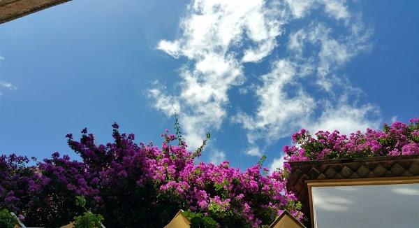 Imagen 36 C.I.C.S.A. foto