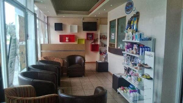 Imagen 7 Steren Guadalajara Javier Mina foto