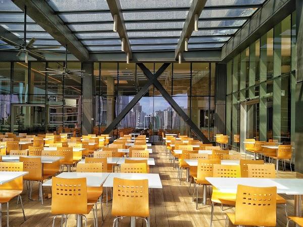 Imagen 28 Clínica Veterinaria Santa Cruz foto