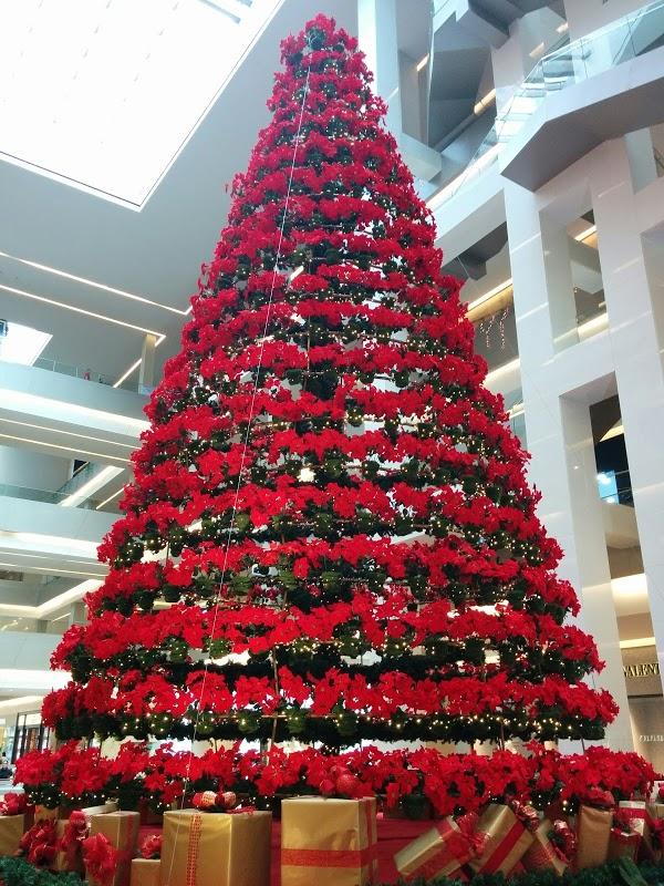 Imagen 30 Clínica Veterinaria Santa Cruz foto