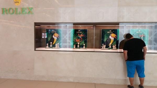 Imagen 31 Clínica Veterinaria Santa Cruz foto