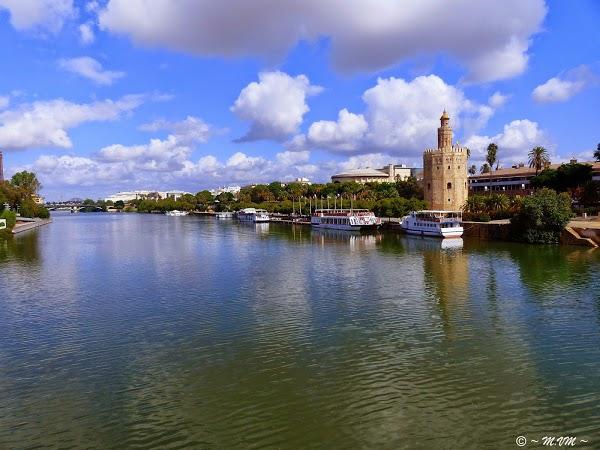 Imagen 112 Torre del Oro foto
