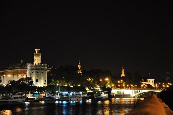Imagen 115 Torre del Oro foto