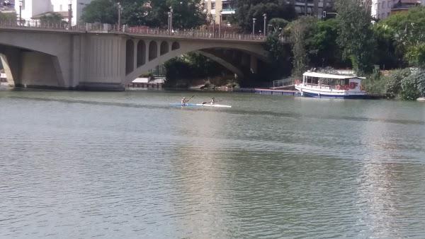 Imagen 151 Torre del Oro foto