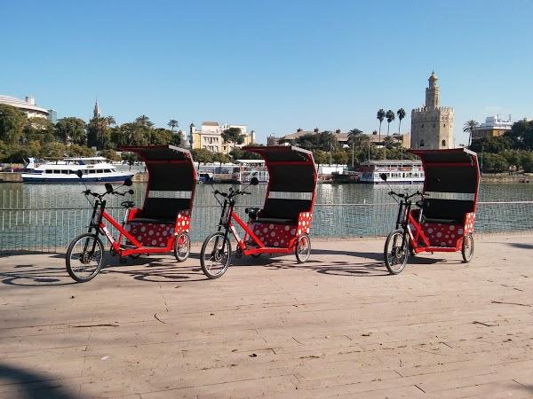 Imagen 159 Torre del Oro foto