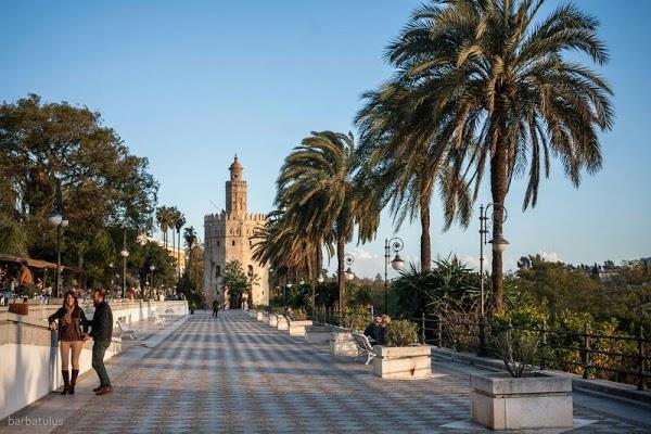 Imagen 67 Restaurant Xeica foto