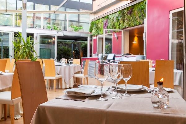 Imagen 42 Aserradero Leo SRL foto