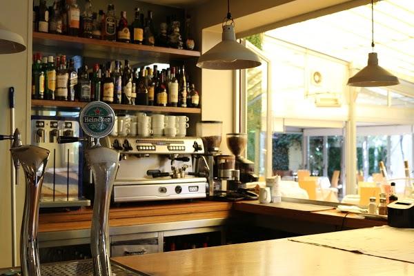 Imagen 49 Aserradero Leo SRL foto