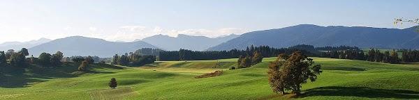 Imagen 11 BACKPACKERS MÁLAGA - CASA OLIAS foto