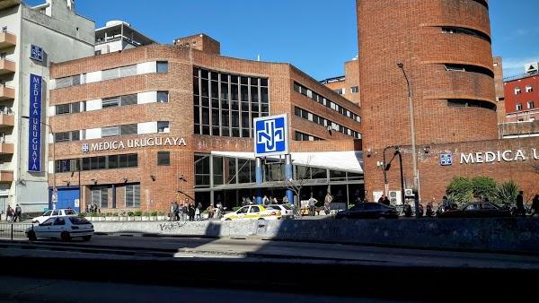 Imagen 41 Alaska foto