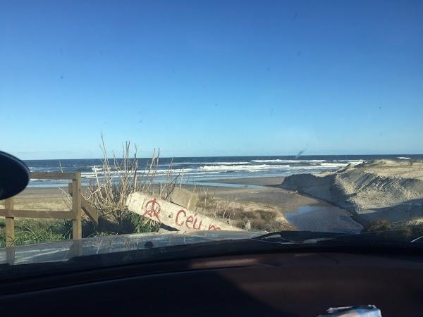 Imagen 42 Alaska foto