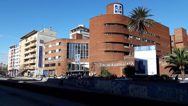 Imagen 45 Alaska foto