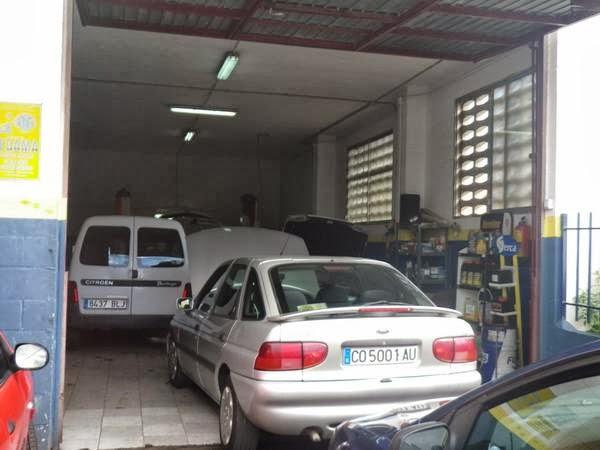 Imagen 20 Sgelite Fisioelite foto