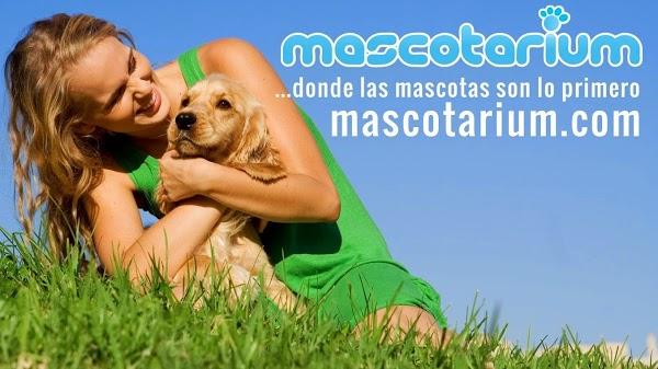 Imagen 8 Viajes El Corte Ingles S.A. foto
