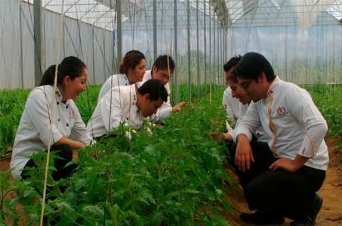 Imagen 34 FREMAP El Ejido foto