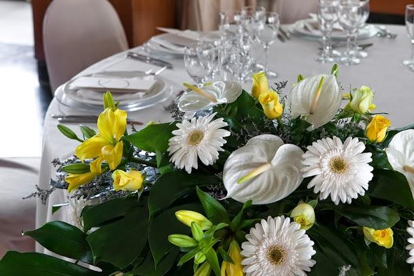 Imagen 19 Hotel Colonial foto