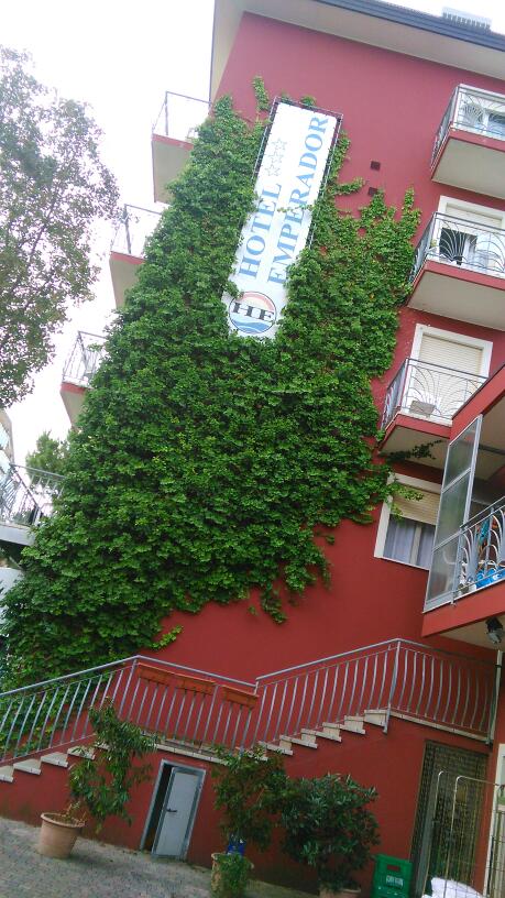 Imagen 1 Idamar S.A. foto