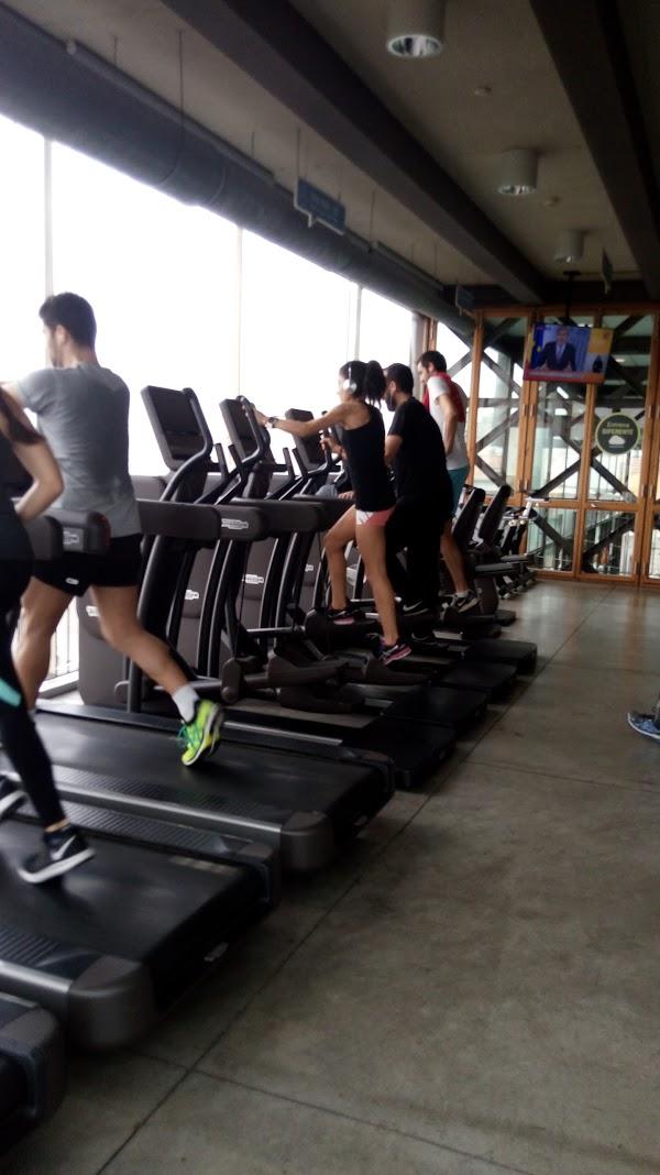 Imagen 41 Idamar S.A. foto