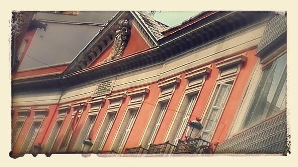 Imagen 54 Idamar S.A. foto