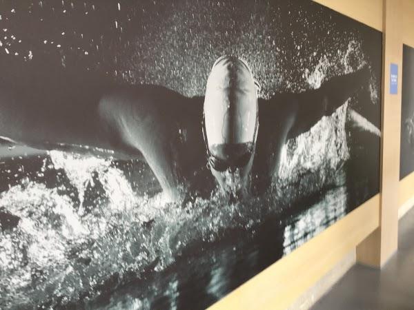 Imagen 58 Idamar S.A. foto