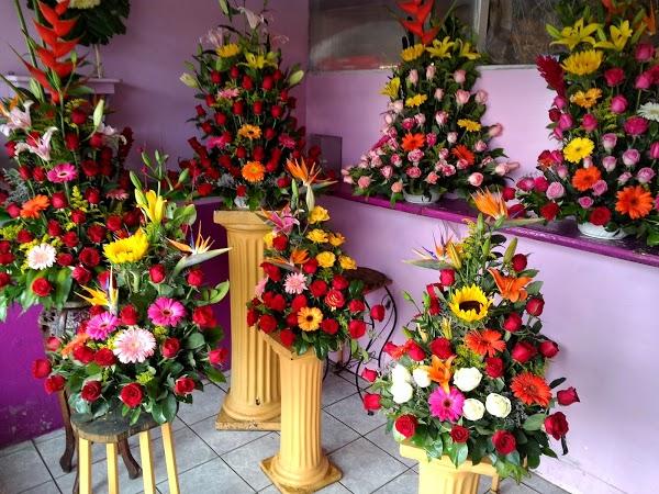 Imagen 25 Restaurante Jardín 3 foto