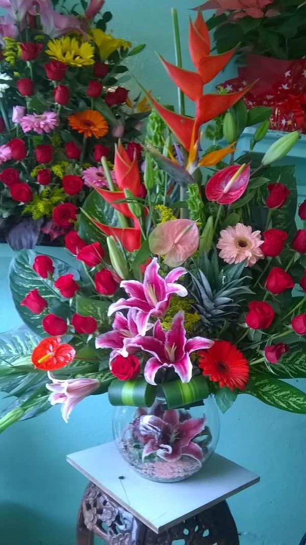 Imagen 30 Restaurante Jardín 3 foto