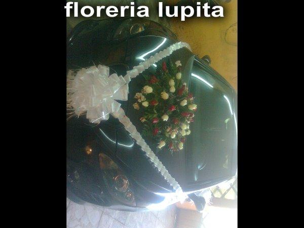 Imagen 43 Restaurante Jardín 3 foto