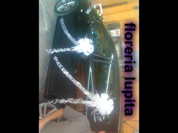 Imagen 45 Restaurante Jardín 3 foto