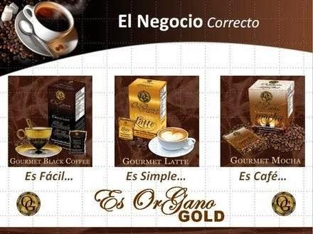 Imagen 22 Arquitecto Técnico Jose Manuel de la Piedad Pirón foto