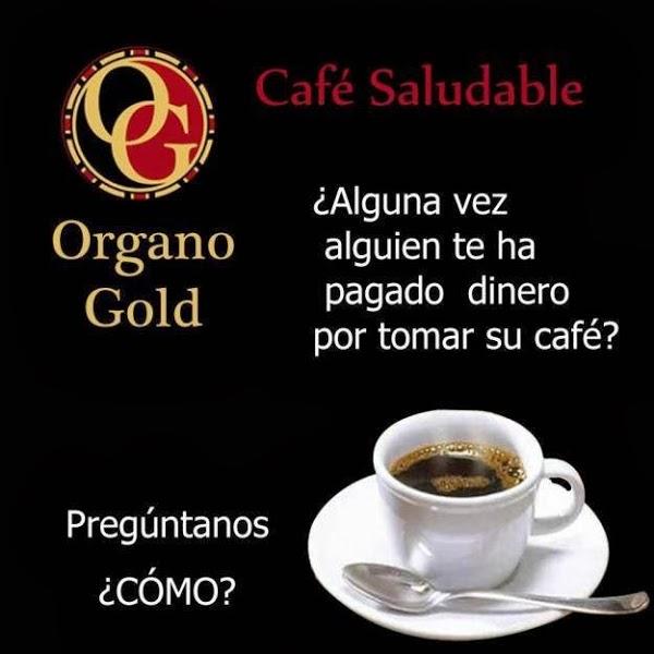 Imagen 23 ORGANO GOLD CAFE GOURMET foto