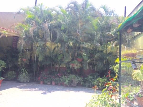 Imagen 42 GOLF LOZANO foto