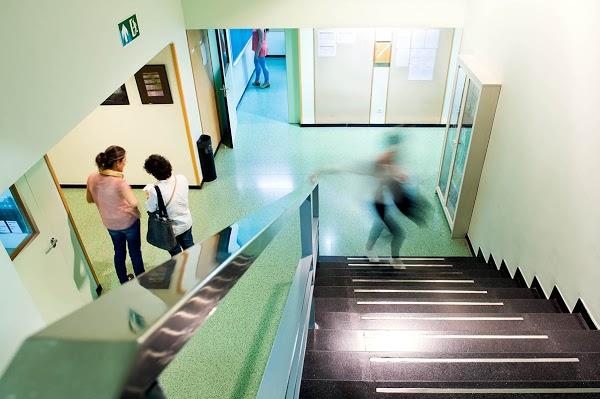 Imagen 95 FREMAP Sureres (Valencia) foto