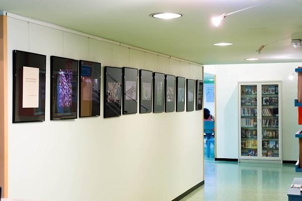 Imagen 97 FREMAP Sureres (Valencia) foto