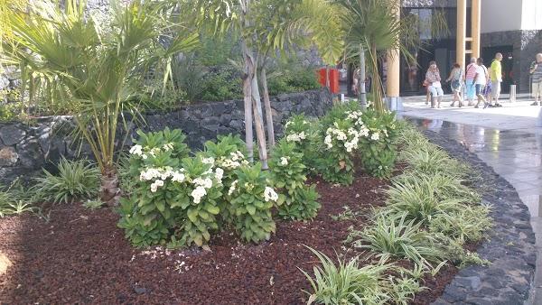 Imagen 34 Farmacia Cinco Caballeros SLP foto