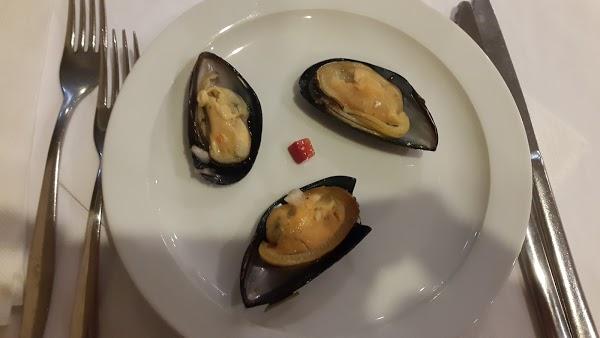 Imagen 37 Farmacia Cinco Caballeros SLP foto