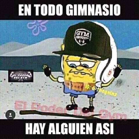 Imagen 46 ANIMAL GYM foto