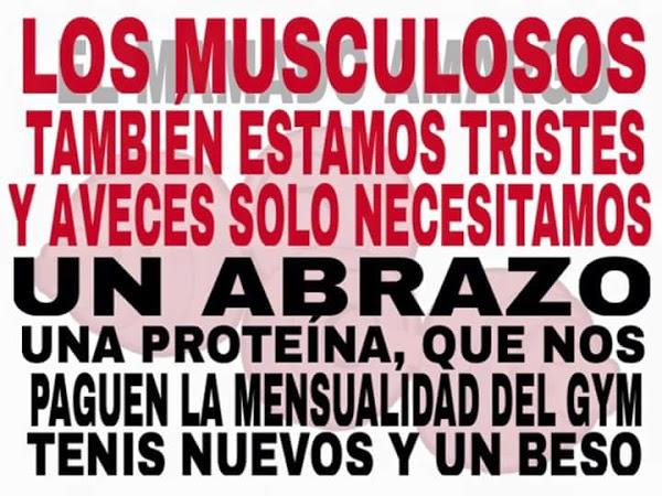 Imagen 49 ANIMAL GYM foto