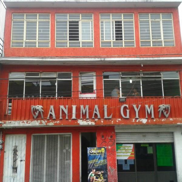 Imagen 78 ANIMAL GYM foto